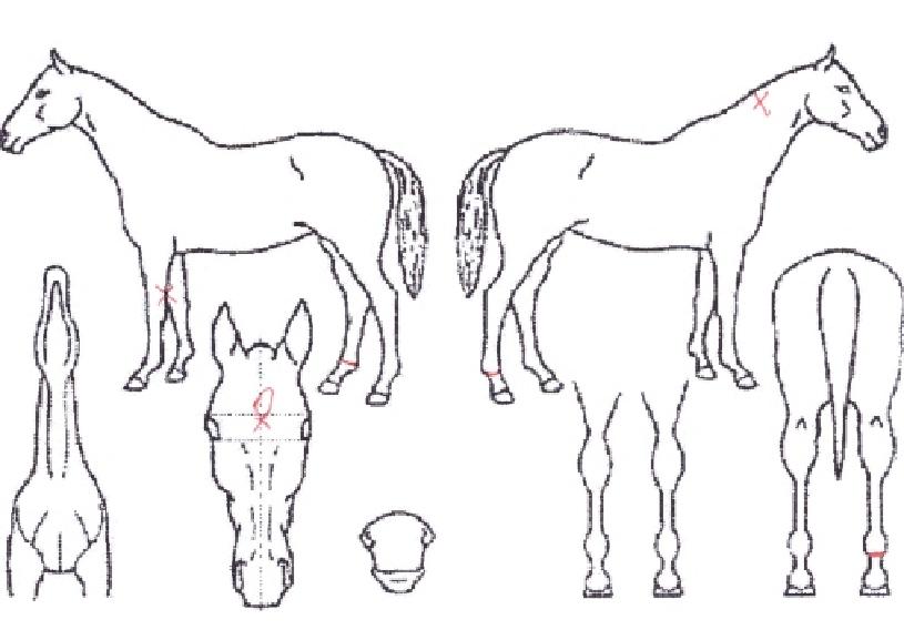 ����Ʈ������ ����,���,�޸�,�λ�,�ٸ��� Ư¡����