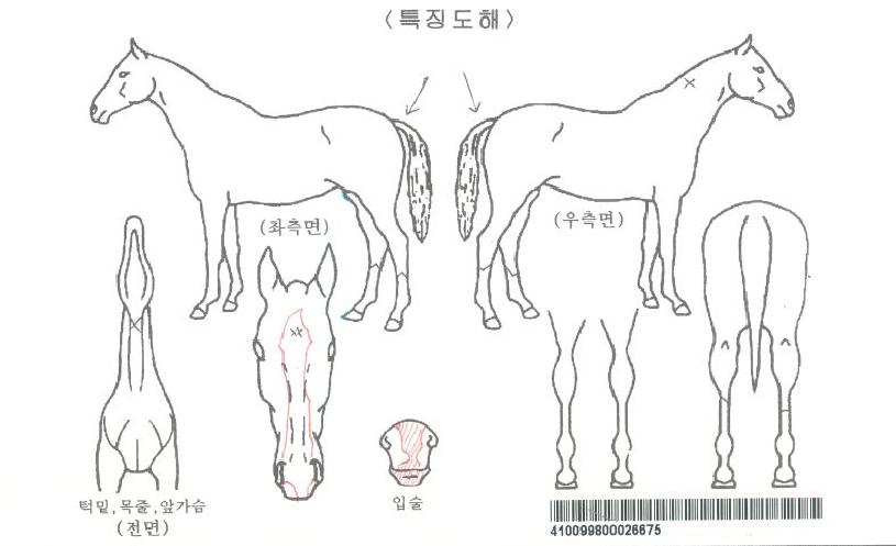 ����ȣ���� ����,���,�޸�,�λ�,�ٸ��� Ư¡����