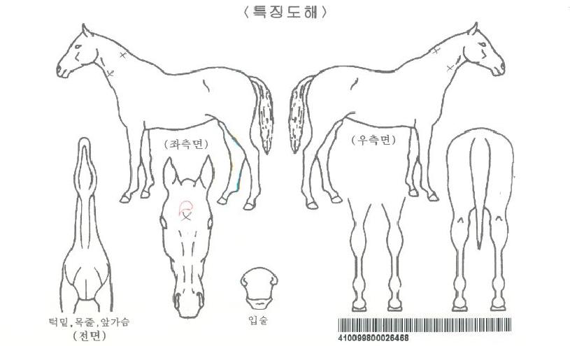 �����������ڸ��� ����,���,�޸�,�λ�,�ٸ��� Ư¡����