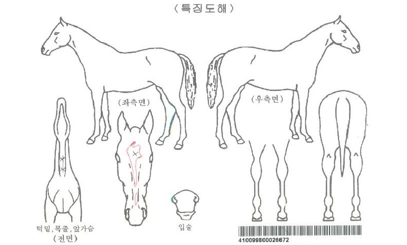 �������ڸ��� ����,���,�޸�,�λ�,�ٸ��� Ư¡����