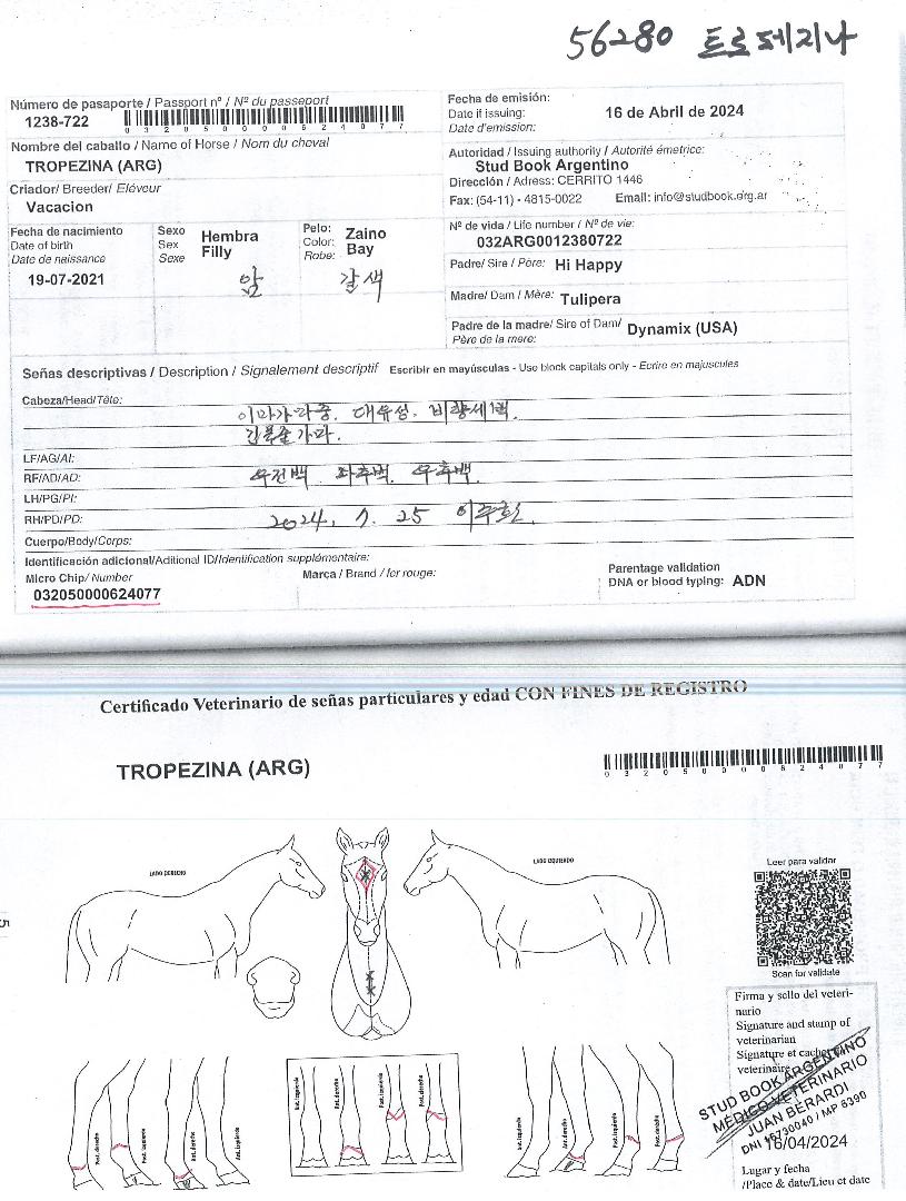 Ʈ���������� ����,���,�޸�,�λ�,�ٸ��� Ư¡����