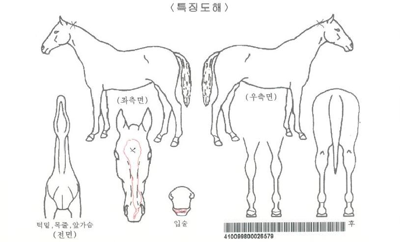 ��ƲŸ�̰��� ����,���,�޸�,�λ�,�ٸ��� Ư¡����