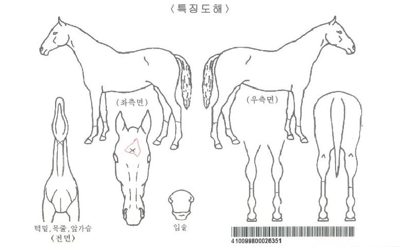 ����Ǯ�������ڸ��� ����,���,�޸�,�λ�,�ٸ��� Ư¡����