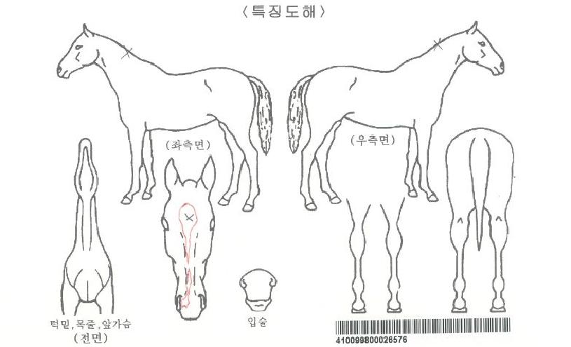 ťƮ�ػ����ڸ��� ����,���,�޸�,�λ�,�ٸ��� Ư¡����