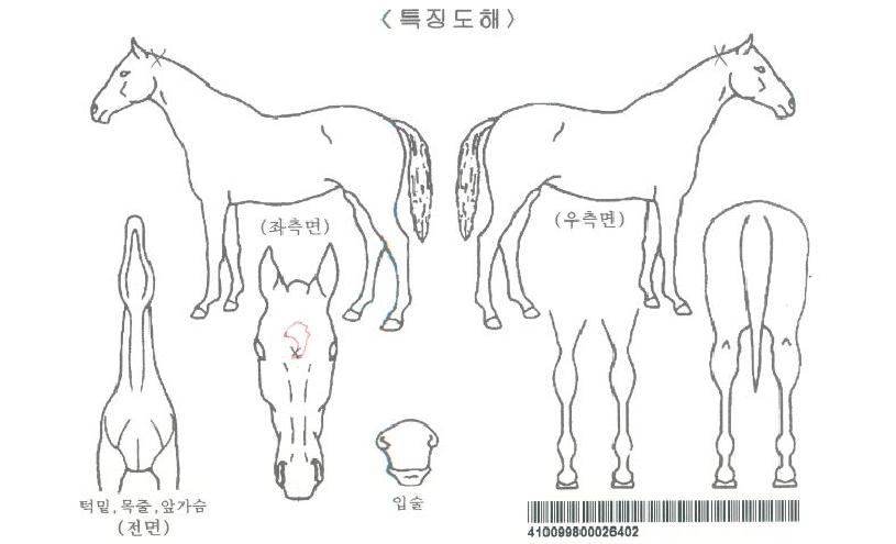 û����Ű���ڸ��� ����,���,�޸�,�λ�,�ٸ��� Ư¡����