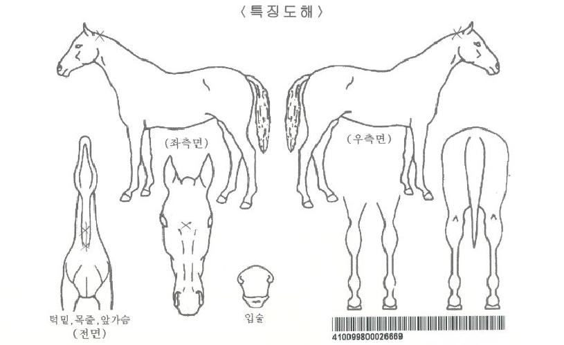 »ïÁ¤ÆÛ½ºÆ®ÀÇ Ãø¸é,¿ì¸é,µÞ¸é,µÎ»ó,´Ù¸®ÀÇ Æ¯Â¡µµÇØ