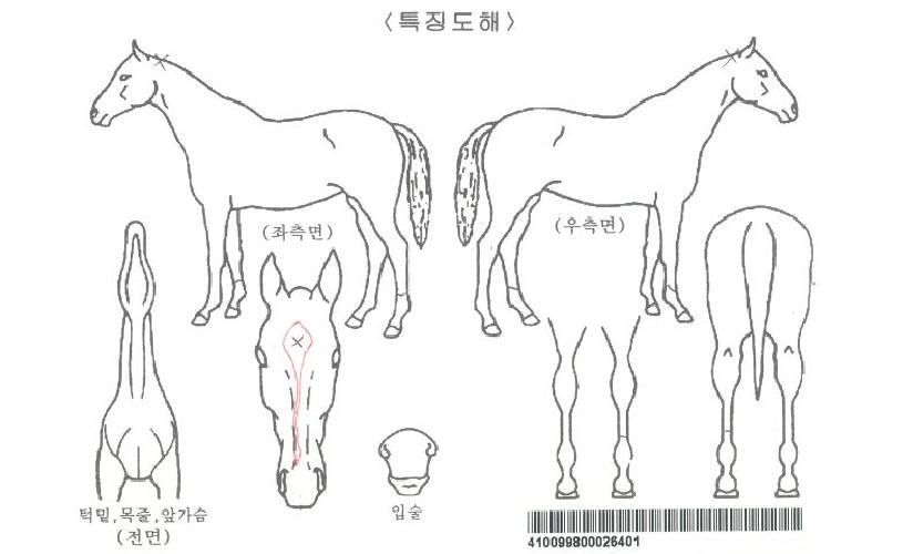 Ÿ�̰ſ����� ����,���,�޸�,�λ�,�ٸ��� Ư¡����