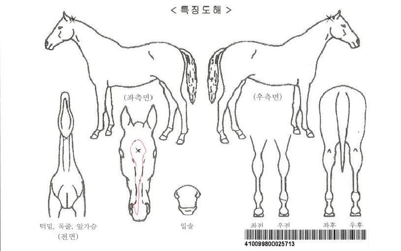 �����μ��������ڸ��� ����,���,�޸�,�λ�,�ٸ��� Ư¡����