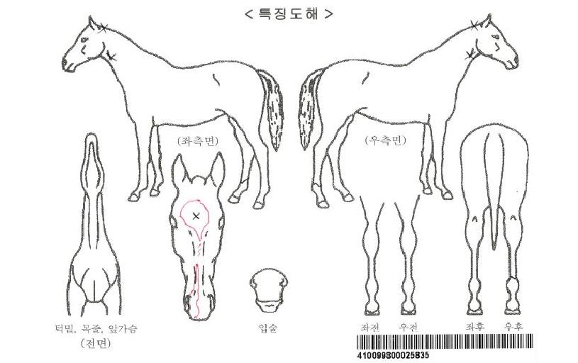 ���̸ӽ���Ʈ�����ڸ��� ����,���,�޸�,�λ�,�ٸ��� Ư¡����