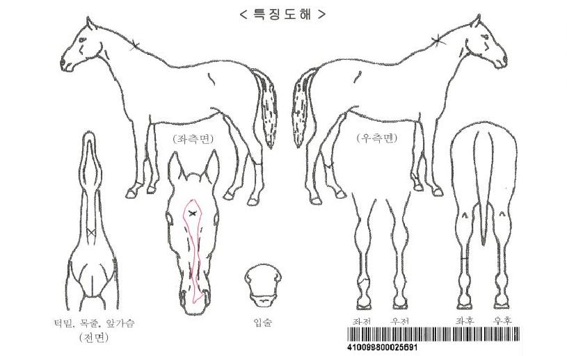 ¸¶Àϵå¾î¹ÂÁî¸ÕÆ®ÀÚ¸¶ÀÇ Ãø¸é,¿ì¸é,µÞ¸é,µÎ»ó,´Ù¸®ÀÇ Æ¯Â¡µµÇØ