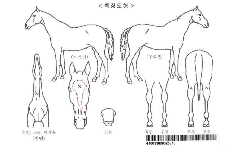 �����ڸ��� ����,���,�޸�,�λ�,�ٸ��� Ư¡����