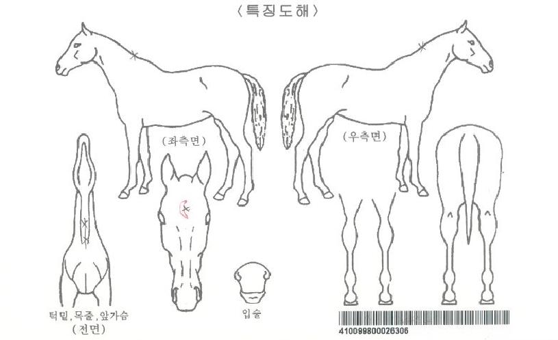 ��������ڸ��� ����,���,�޸�,�λ�,�ٸ��� Ư¡����