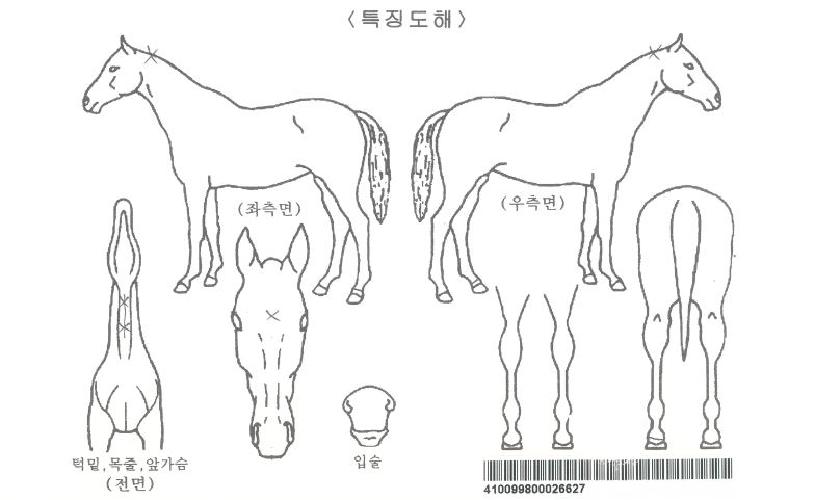 �̷������ڸ��� ����,���,�޸�,�λ�,�ٸ��� Ư¡����