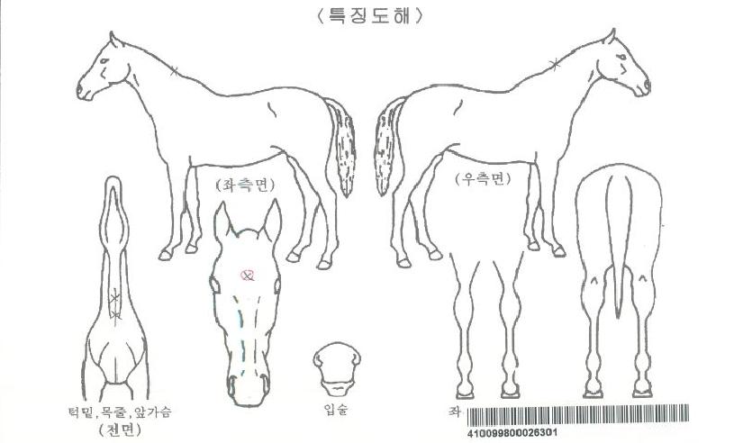 �ʸ��ŵ��ڸ��� ����,���,�޸�,�λ�,�ٸ��� Ư¡����