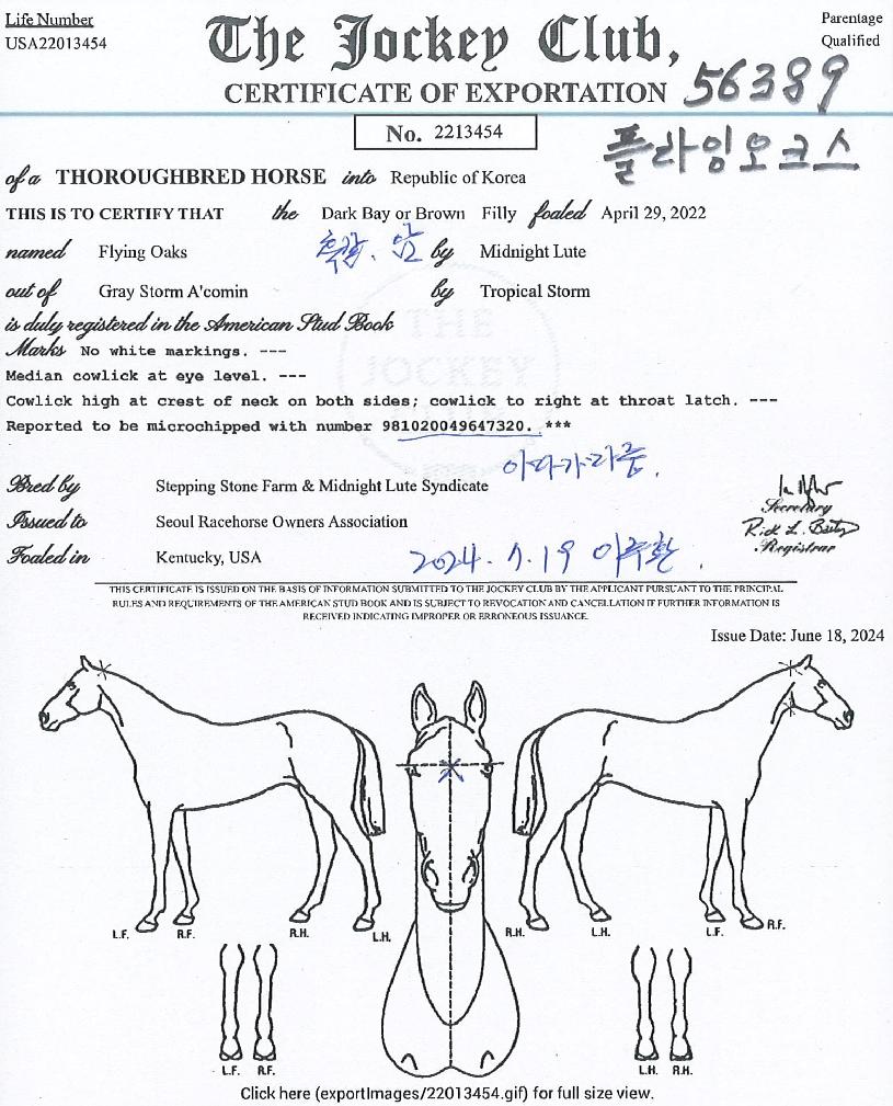 ÇöóÀ׿ÀÅ©½ºÀÇ Ãø¸é,¿ì¸é,µÞ¸é,µÎ»ó,´Ù¸®ÀÇ Æ¯Â¡µµÇØ