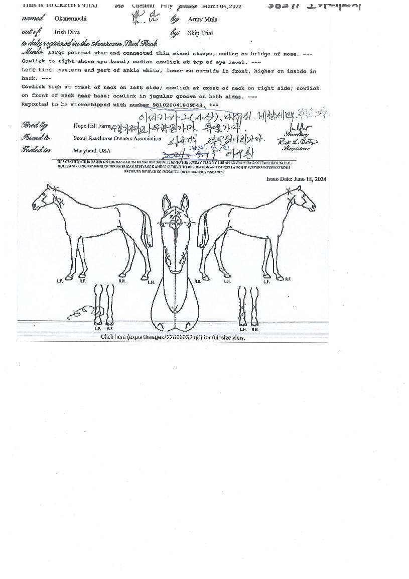 ¿ÀÄ«³×¸ðÄ¡ÀÇ Ãø¸é,¿ì¸é,µÞ¸é,µÎ»ó,´Ù¸®ÀÇ Æ¯Â¡µµÇØ