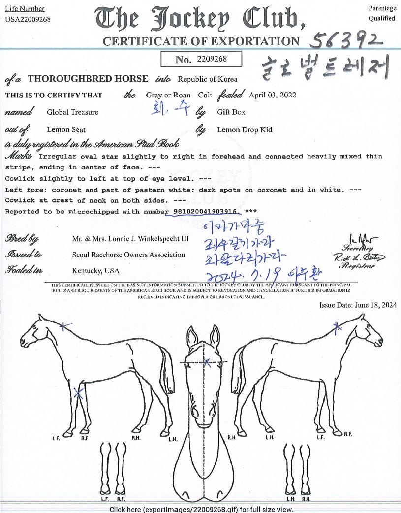 �۷ι�Ʈ������ ����,���,�޸�,�λ�,�ٸ��� Ư¡����