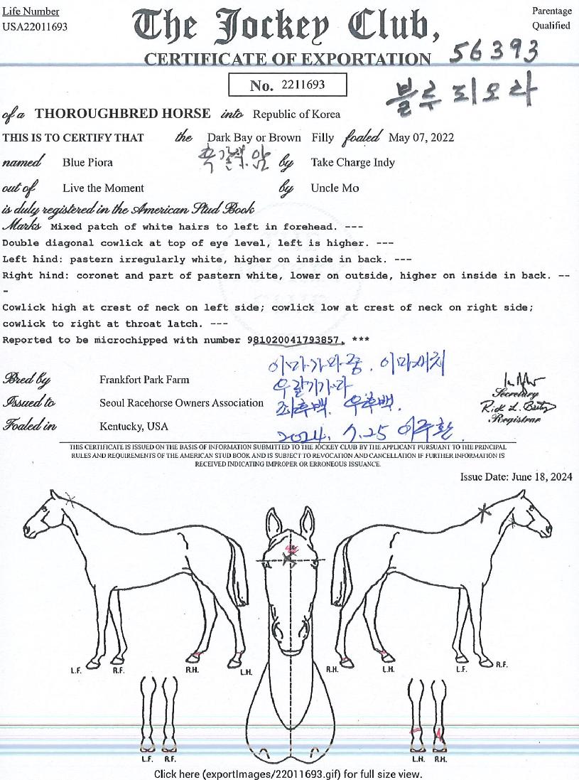 �����ǿ����� ����,���,�޸�,�λ�,�ٸ��� Ư¡����