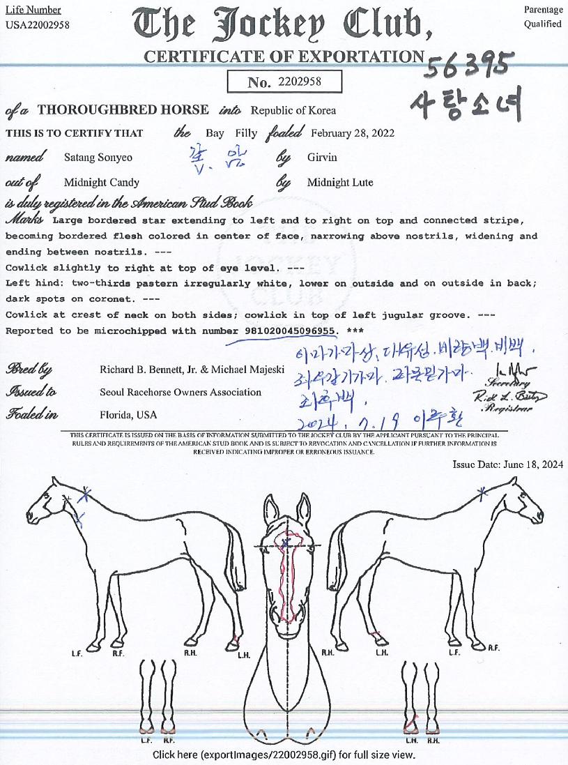 »çÅÁ¼Ò³àÀÇ Ãø¸é,¿ì¸é,µÞ¸é,µÎ»ó,´Ù¸®ÀÇ Æ¯Â¡µµÇØ