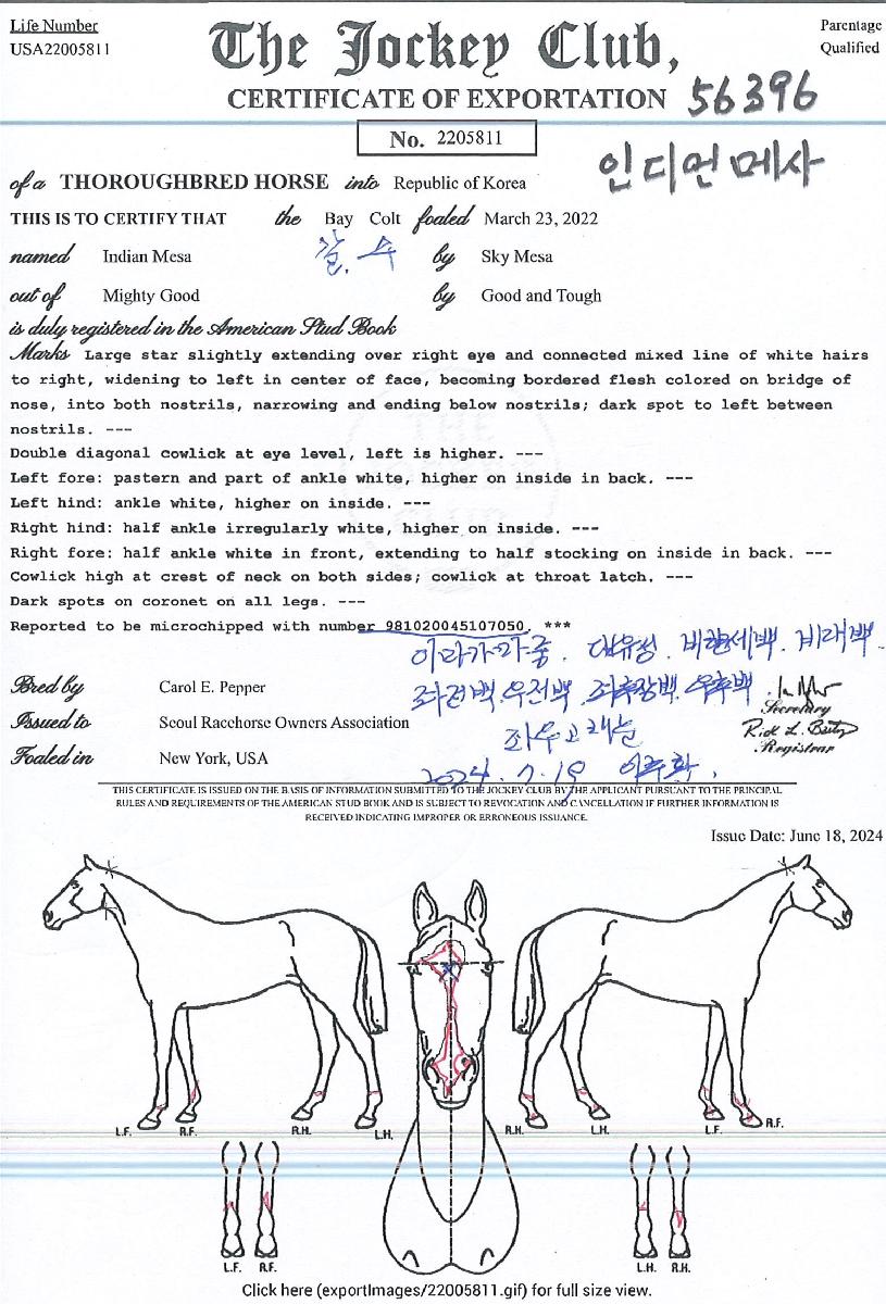 Àεð¾ð¸Þ»çÀÇ Ãø¸é,¿ì¸é,µÞ¸é,µÎ»ó,´Ù¸®ÀÇ Æ¯Â¡µµÇØ