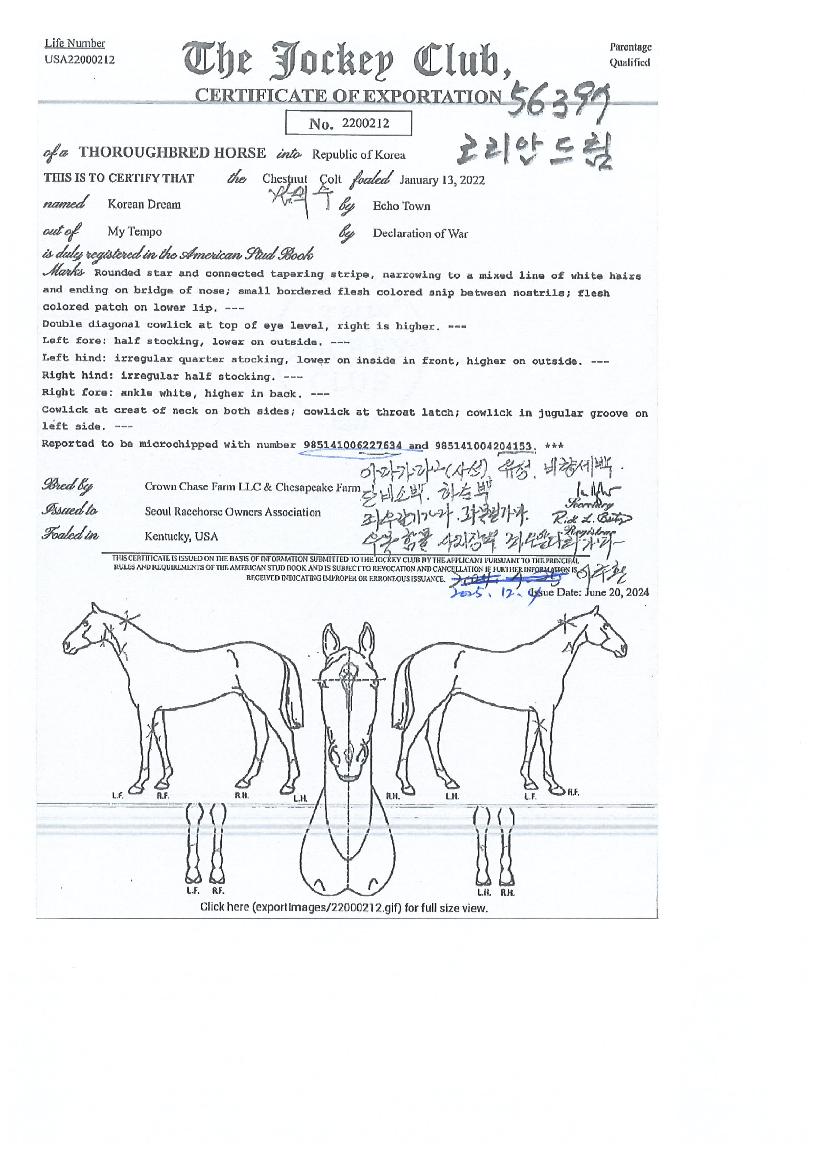 �ڸ��ȵ帲�� ����,���,�޸�,�λ�,�ٸ��� Ư¡����