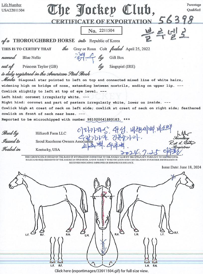 ºí·ç³Ú·ÎÀÇ Ãø¸é,¿ì¸é,µÞ¸é,µÎ»ó,´Ù¸®ÀÇ Æ¯Â¡µµÇØ