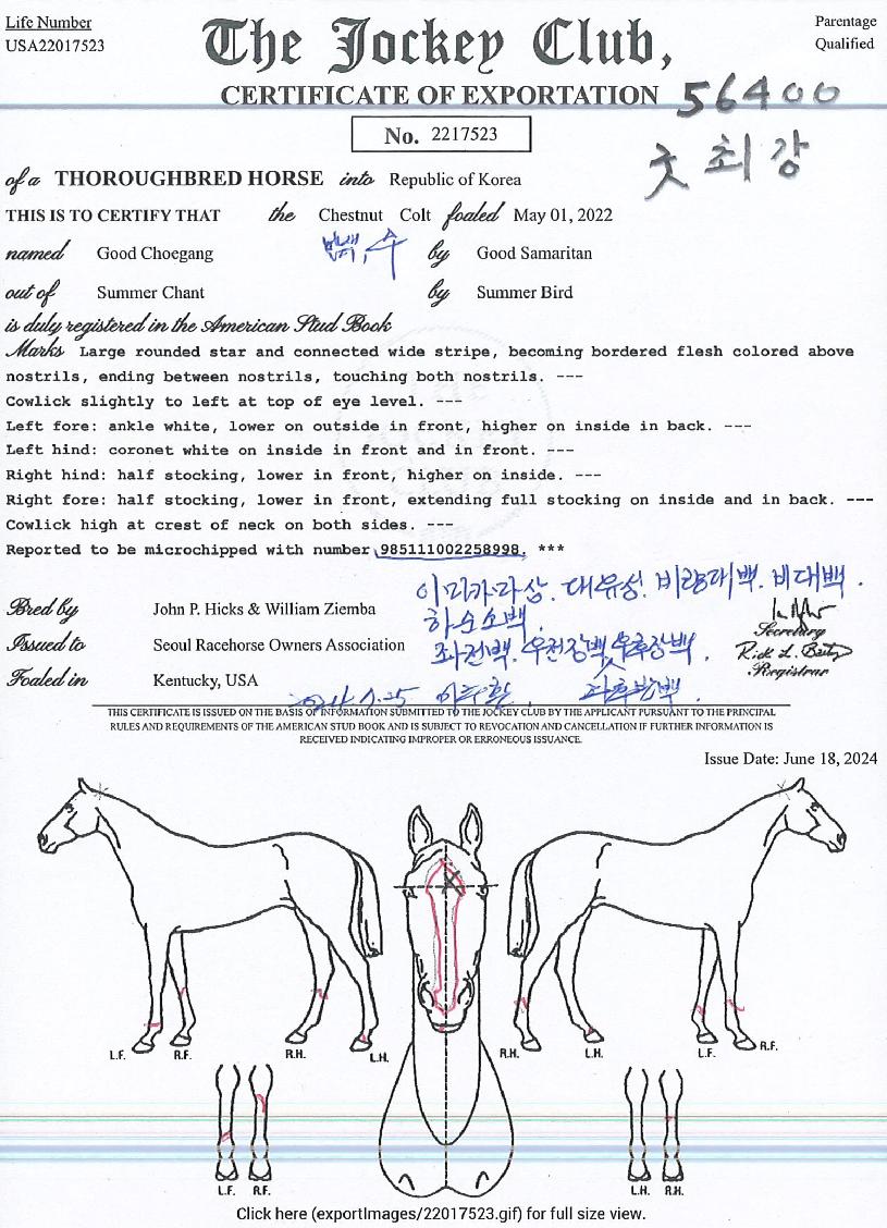 ±ÂÃÖ°ÀÇ Ãø¸é,¿ì¸é,µÞ¸é,µÎ»ó,´Ù¸®ÀÇ Æ¯Â¡µµÇØ