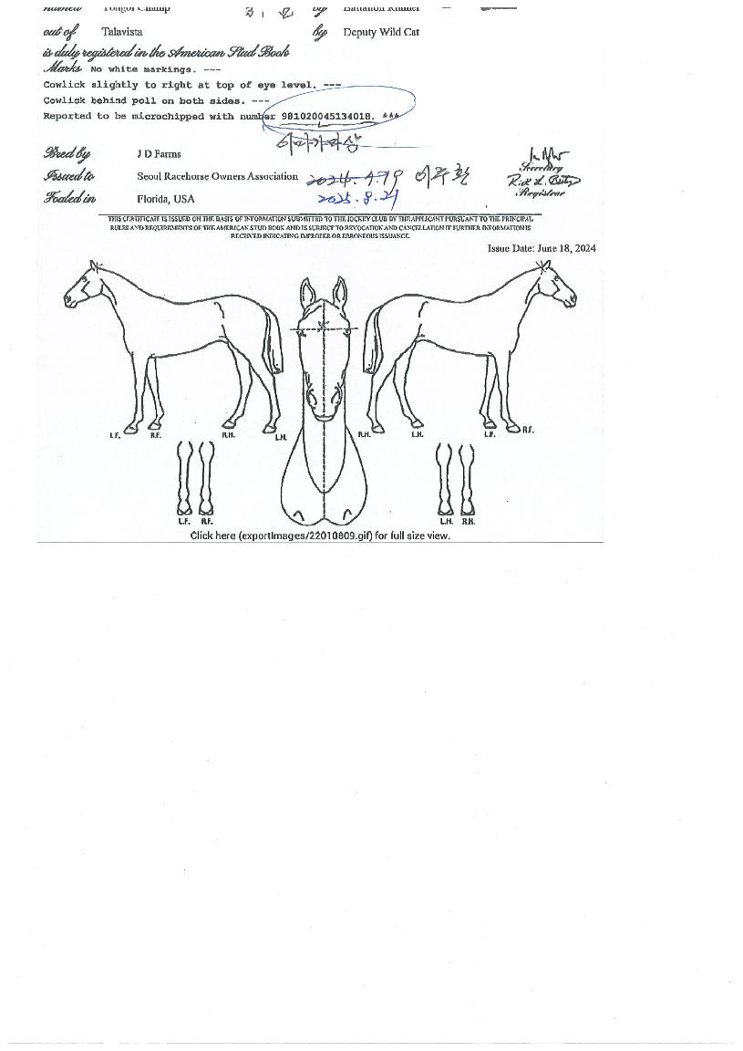 ���è���� ����,���,�޸�,�λ�,�ٸ��� Ư¡����