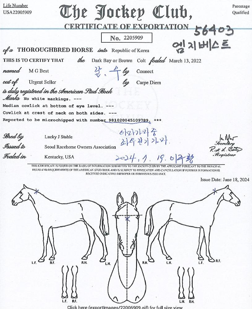 ��������Ʈ�� ����,���,�޸�,�λ�,�ٸ��� Ư¡����