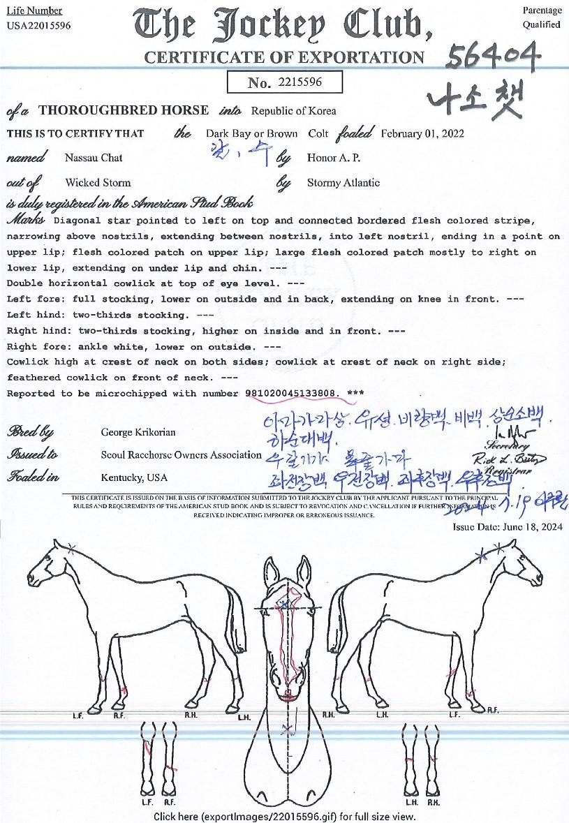 ����ê�� ����,���,�޸�,�λ�,�ٸ��� Ư¡����