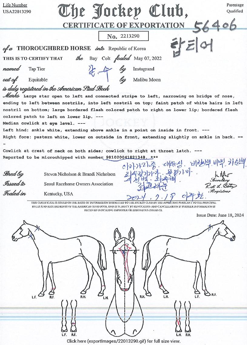 žƼ¾îÀÇ Ãø¸é,¿ì¸é,µÞ¸é,µÎ»ó,´Ù¸®ÀÇ Æ¯Â¡µµÇØ