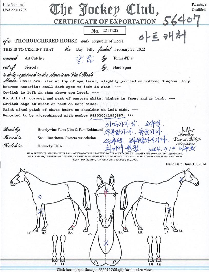 ¾ÆÆ®Ä³Ã³ÀÇ Ãø¸é,¿ì¸é,µÞ¸é,µÎ»ó,´Ù¸®ÀÇ Æ¯Â¡µµÇØ