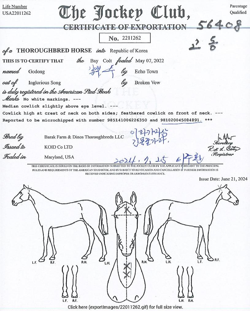 °íµ¿ÀÇ Ãø¸é,¿ì¸é,µÞ¸é,µÎ»ó,´Ù¸®ÀÇ Æ¯Â¡µµÇØ