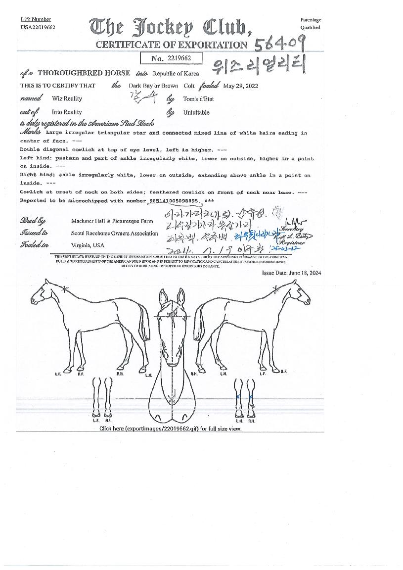 À§Á¾ó¸®Æ¼ÀÇ Ãø¸é,¿ì¸é,µÞ¸é,µÎ»ó,´Ù¸®ÀÇ Æ¯Â¡µµÇØ