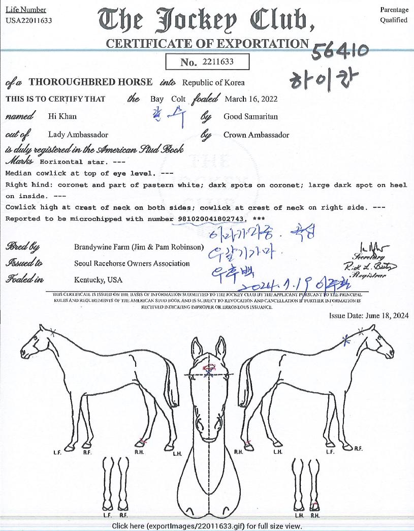 ����ĭ�� ����,���,�޸�,�λ�,�ٸ��� Ư¡����