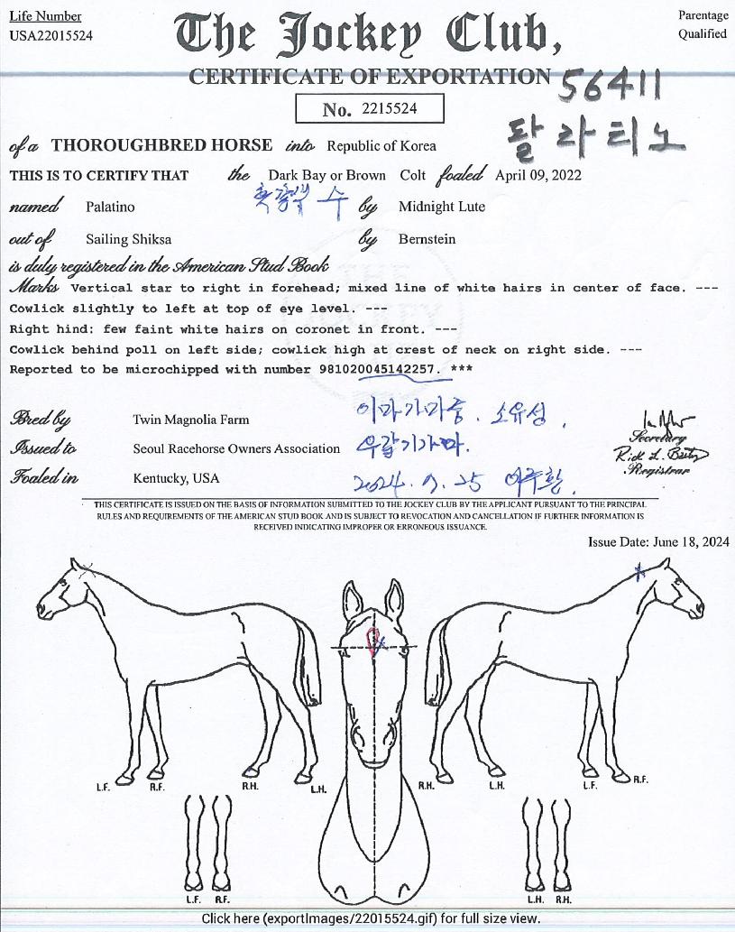 ÆÈ¶óƼ³ëÀÇ Ãø¸é,¿ì¸é,µÞ¸é,µÎ»ó,´Ù¸®ÀÇ Æ¯Â¡µµÇØ