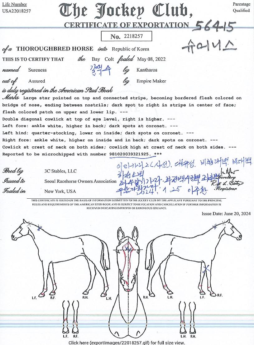 ½´¾î´Ï½ºÀÇ Ãø¸é,¿ì¸é,µÞ¸é,µÎ»ó,´Ù¸®ÀÇ Æ¯Â¡µµÇØ