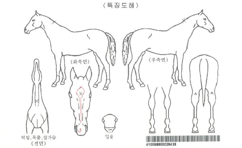 ������Ʈ�ڸ��� ����,���,�޸�,�λ�,�ٸ��� Ư¡����