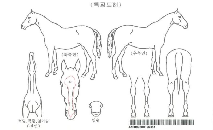 ÆÛ½ºÆ®·©Å©ÀÚ¸¶ÀÇ Ãø¸é,¿ì¸é,µÞ¸é,µÎ»ó,´Ù¸®ÀÇ Æ¯Â¡µµÇØ