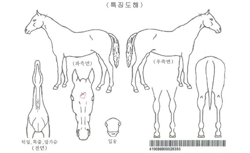 ����ŷ�������� ����,���,�޸�,�λ�,�ٸ��� Ư¡����