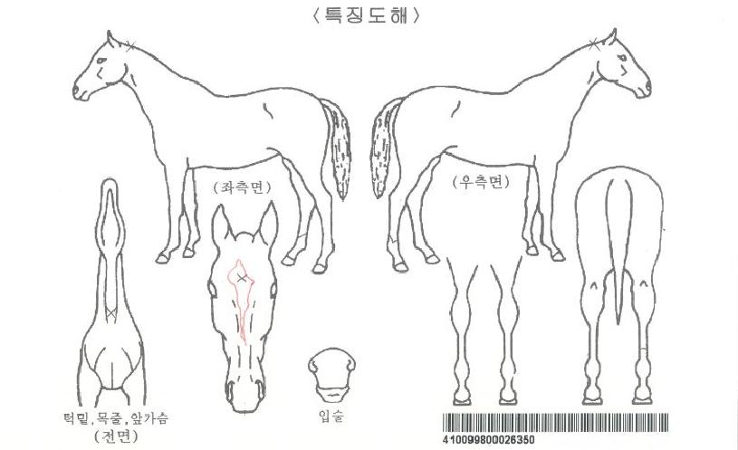 ¿©¼öÅ齺ŸÀÇ Ãø¸é,¿ì¸é,µÞ¸é,µÎ»ó,´Ù¸®ÀÇ Æ¯Â¡µµÇØ