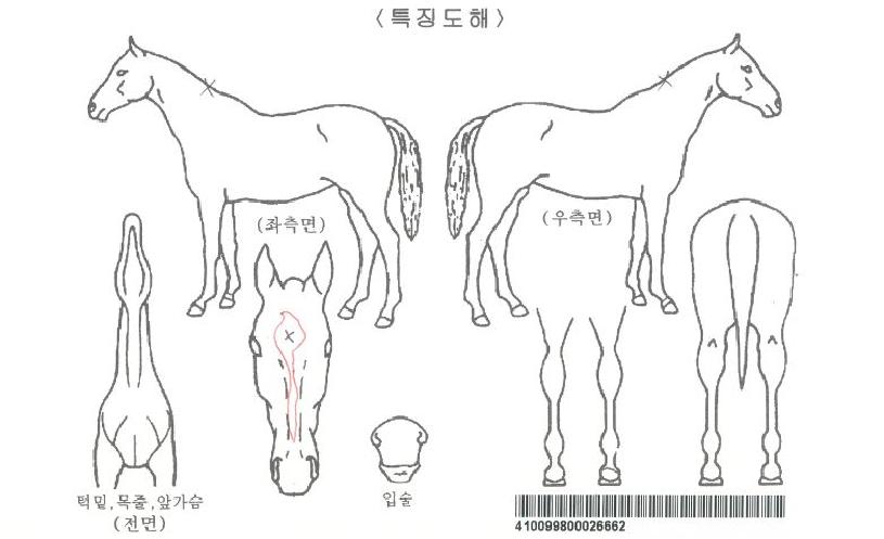 ���ϸ���Ѹ����ڸ��� ����,���,�޸�,�λ�,�ٸ��� Ư¡����