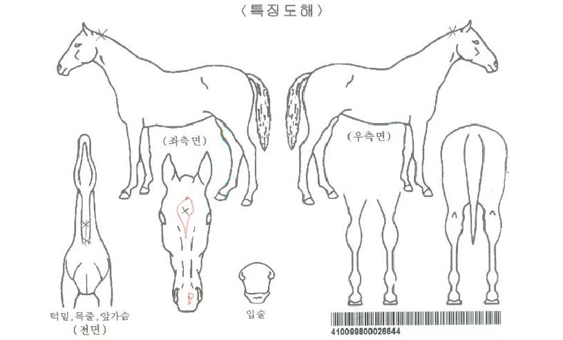 ���������������ڸ��� ����,���,�޸�,�λ�,�ٸ��� Ư¡����