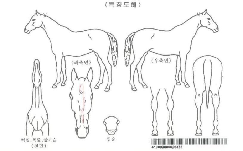 ÇÁ¶óÀÌÁîÆ÷Æ®·¹ÀÕÀÚ¸¶ÀÇ Ãø¸é,¿ì¸é,µÞ¸é,µÎ»ó,´Ù¸®ÀÇ Æ¯Â¡µµÇØ