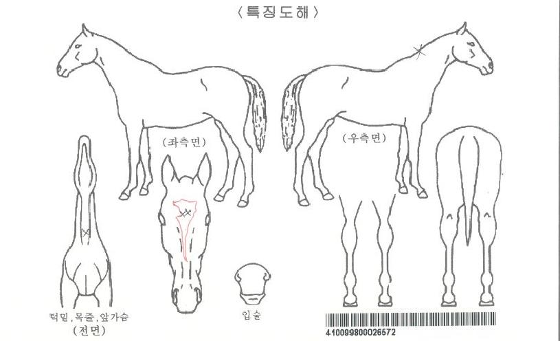 ������è���ڸ��� ����,���,�޸�,�λ�,�ٸ��� Ư¡����