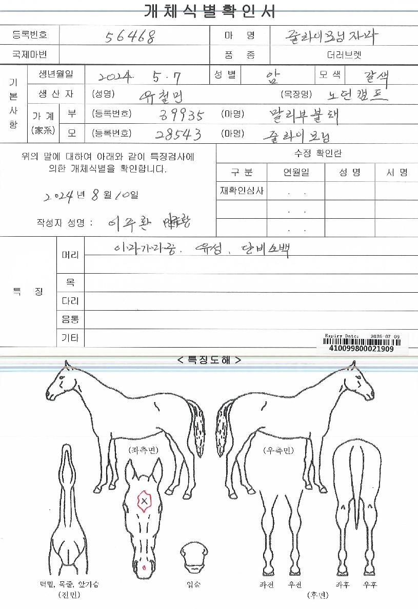 ÁÙ¶óÀ̸ð´×ÀÚ¸¶ÀÇ Ãø¸é,¿ì¸é,µÞ¸é,µÎ»ó,´Ù¸®ÀÇ Æ¯Â¡µµÇØ