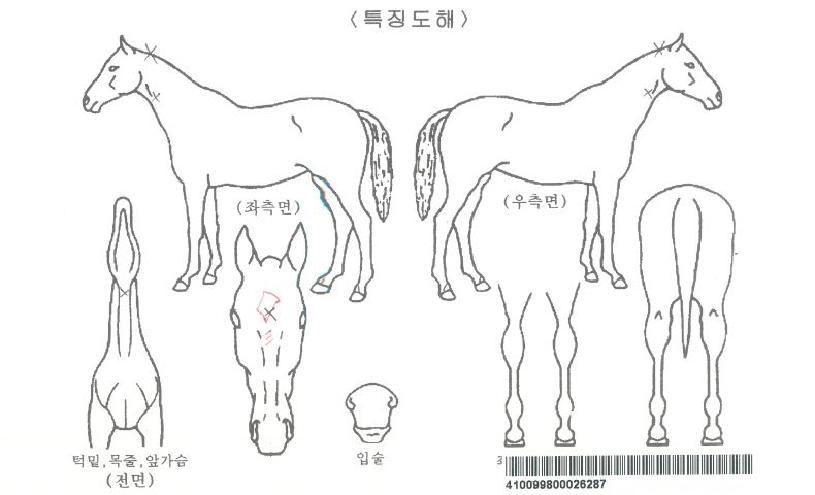 ������������ ����,���,�޸�,�λ�,�ٸ��� Ư¡����