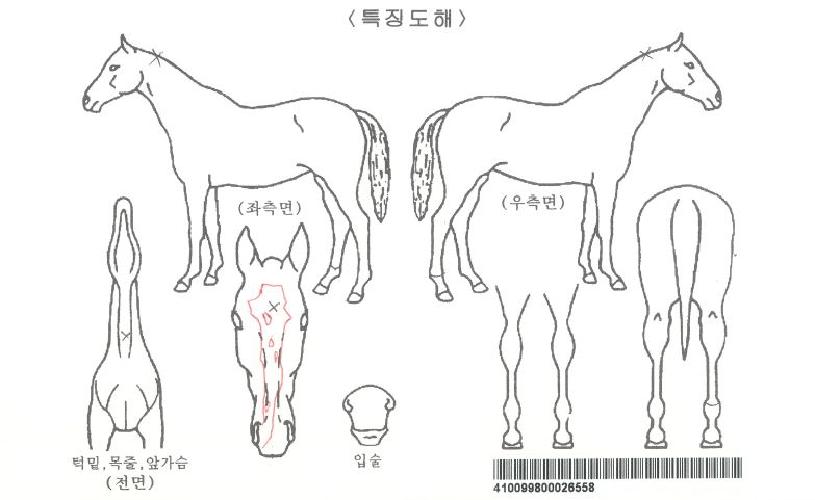 ���Ϳ���Ʈ�� ����,���,�޸�,�λ�,�ٸ��� Ư¡����