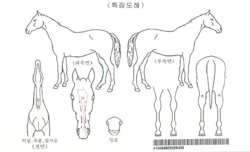 ����̴Ͻ����ڸ��� ����,���,�޸�,�λ�,�ٸ��� Ư¡����