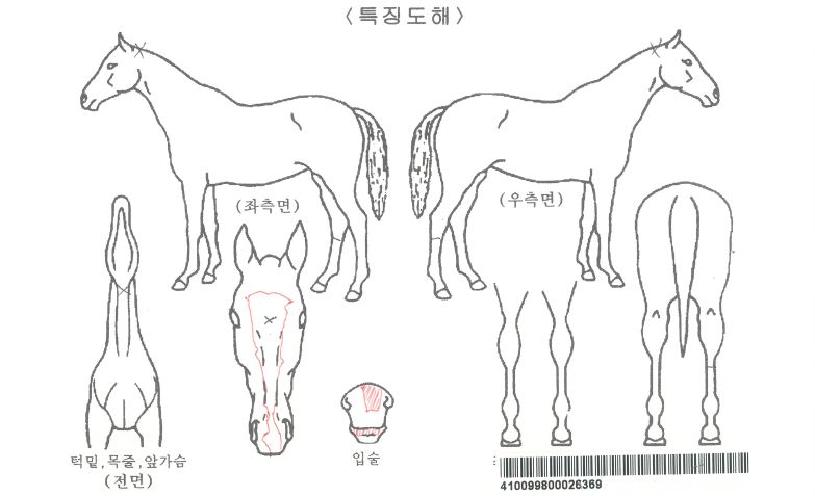 ¹Ì¶óŬµµÅÍÀÚ¸¶ÀÇ Ãø¸é,¿ì¸é,µÞ¸é,µÎ»ó,´Ù¸®ÀÇ Æ¯Â¡µµÇØ